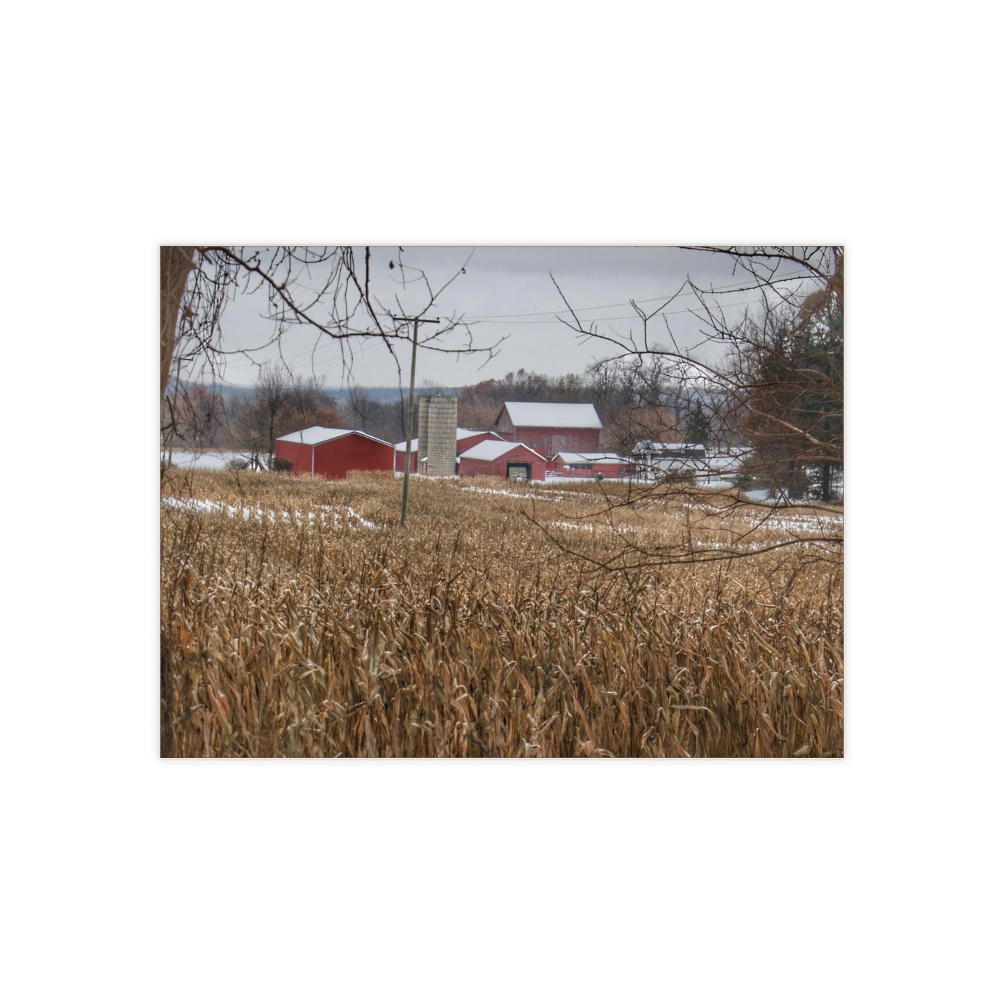 U R There Photography Beyond the Cornfield on Sutton Rustic Farmhouse Decorative Ceramic Tile