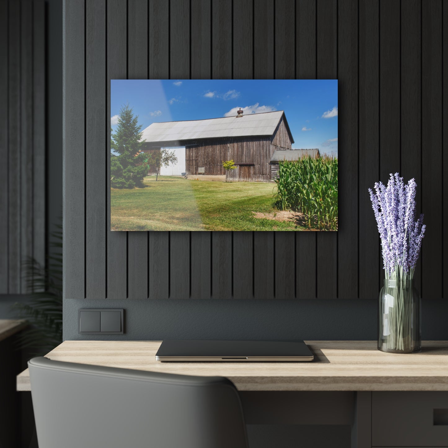 U R There Photography Frog Barn Rustic Farmhouse Acrylic Wall Print