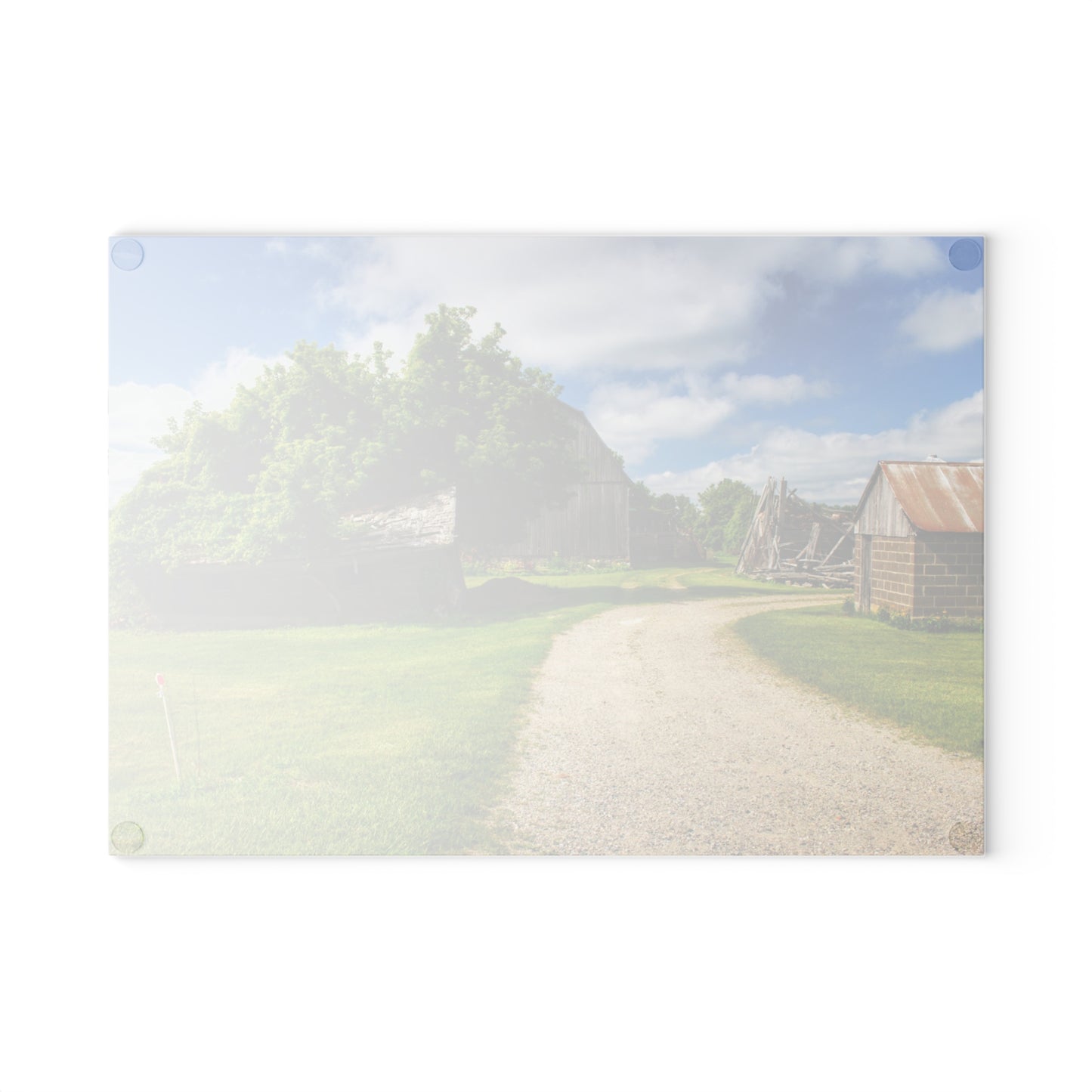 U R There Photography Brown City Road Barn and Buddy II Rustic Farmhouse Tempered-Glass Cutting Board