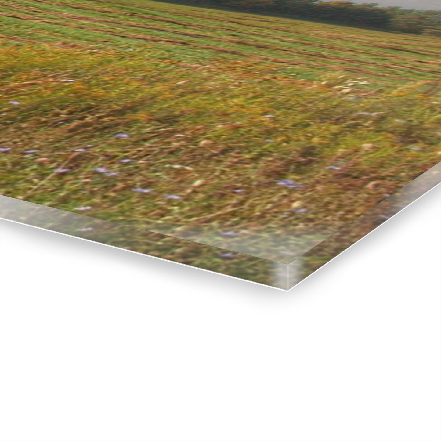 U R There Photography Farm Across the Field Rustic Farmhouse Acrylic Wall Print