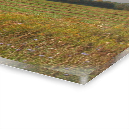 U R There Photography Farm Across the Field Rustic Farmhouse Acrylic Wall Print