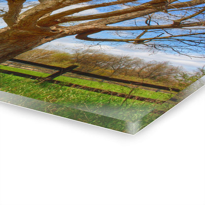 U R There Photography Delano Oak and Little Red Rustic Farmhouse Acrylic Wall Print