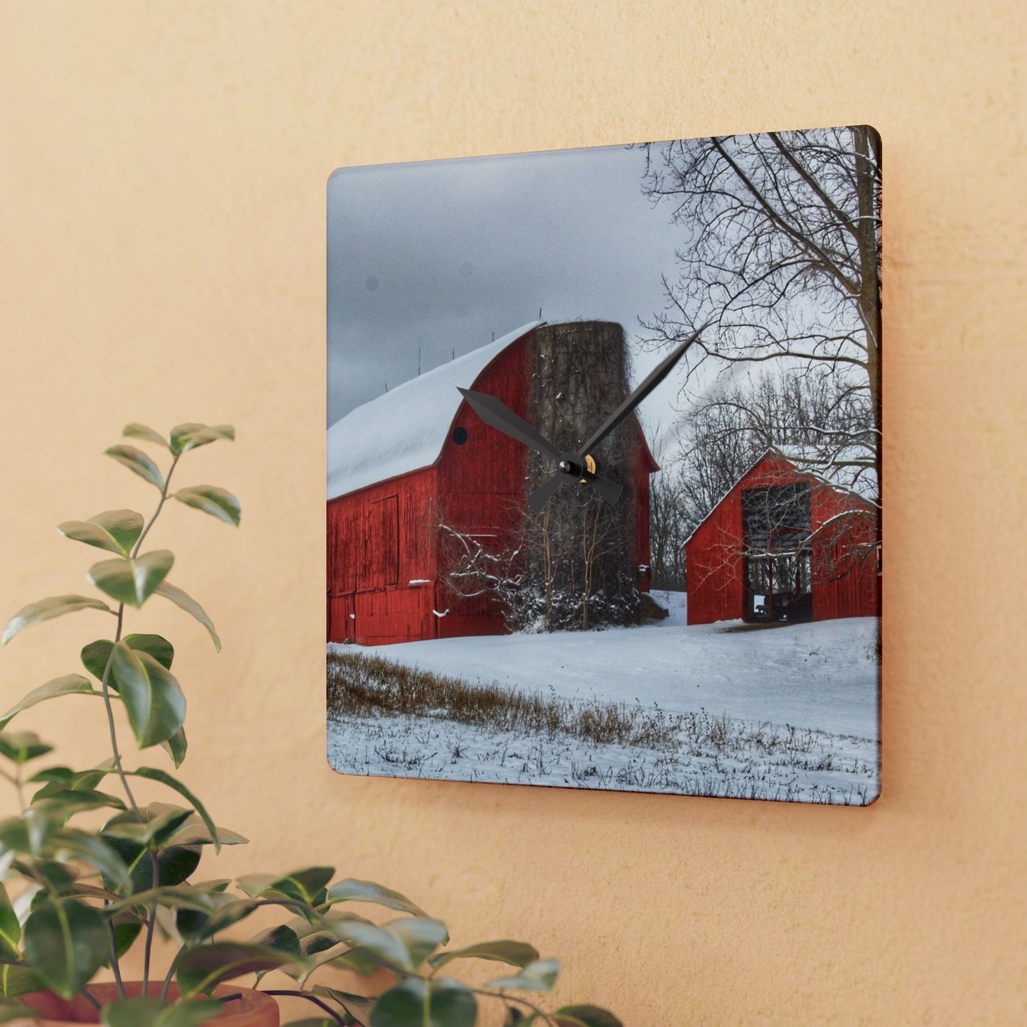 U R There Photography Catlin Reds in Winter I Rustic Farmhouse Acrylic Analog Wall Clock