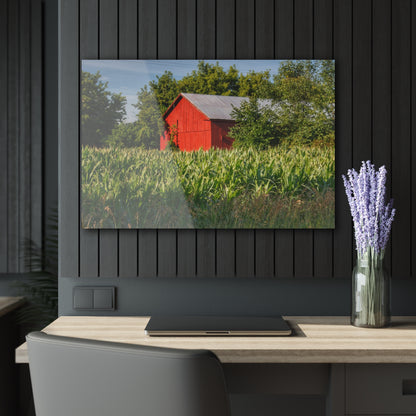 U R There Photography Willard Road Red III Rustic Farmhouse Acrylic Wall Print