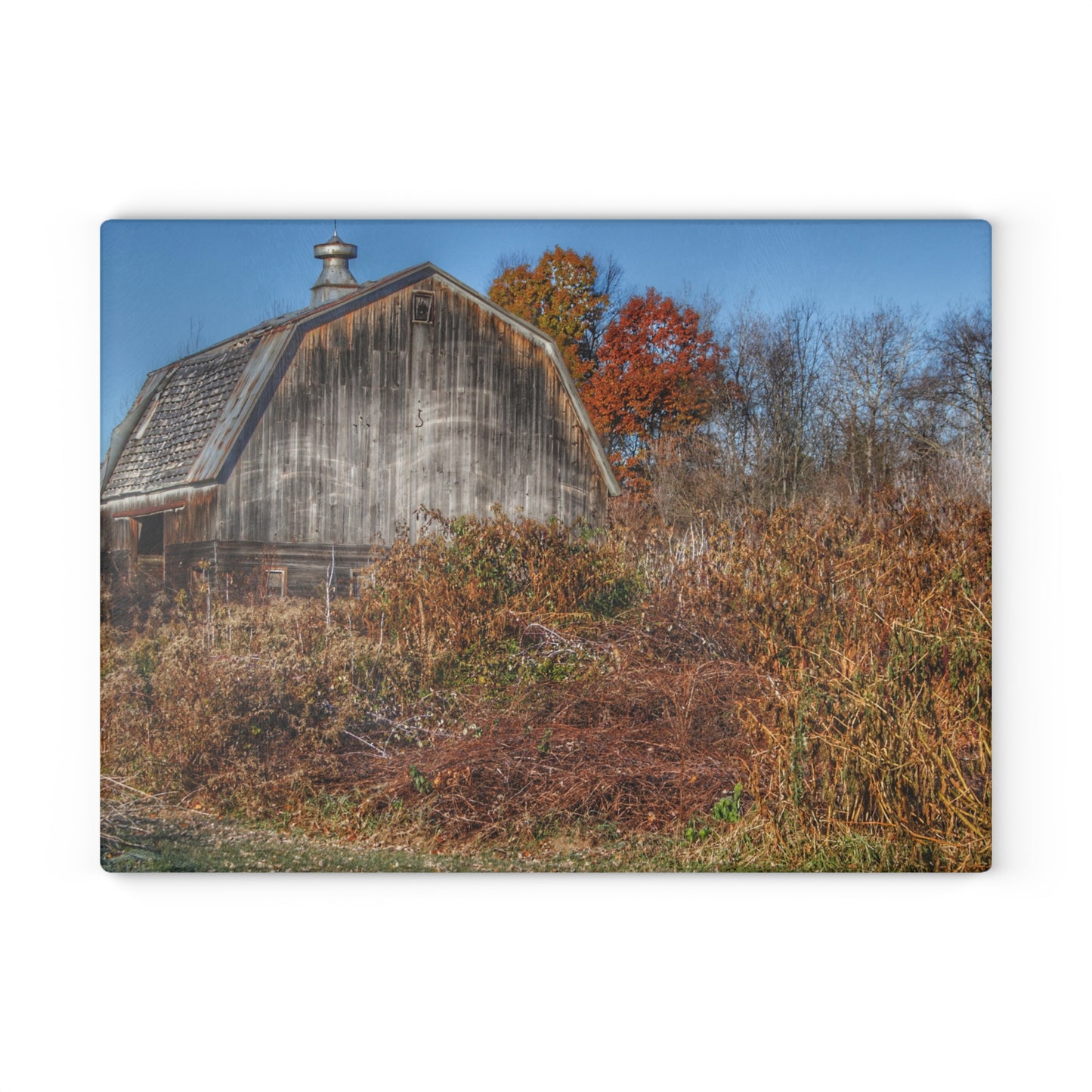 U R There Photography Vassar Road Hidden Grey II Rustic Farmhouse Tempered-Glass Cutting Board
