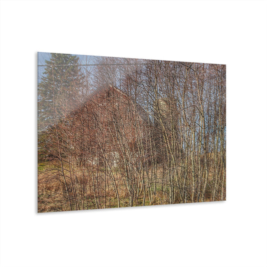 U R There Photography Otter Lake Hidden Red Rustic Farmhouse Acrylic Wall Print