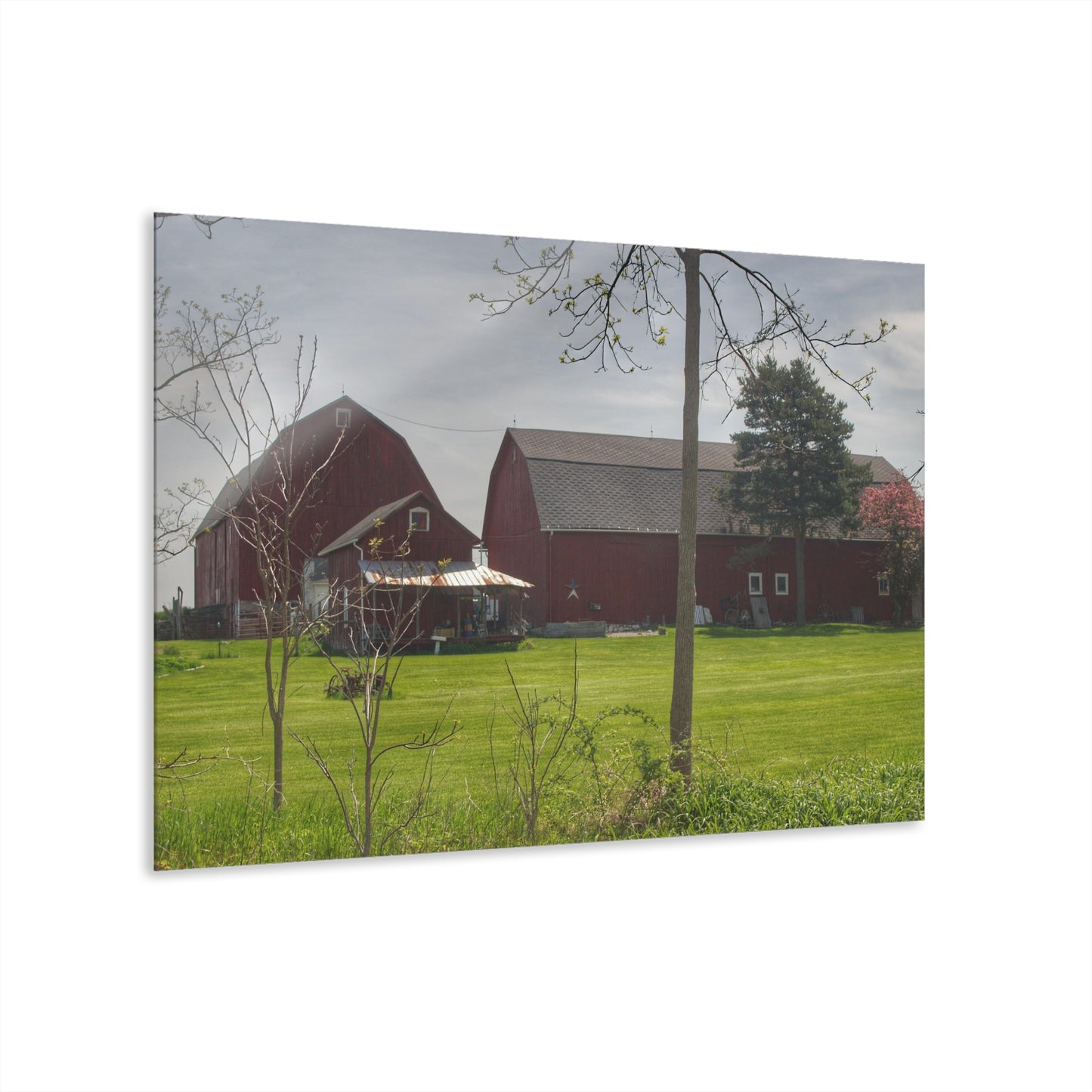 U R There Photography Bishop Road Reds I Rustic Farmhouse Acrylic Wall Print