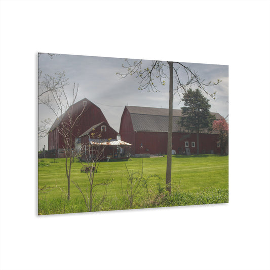 U R There Photography Bishop Road Reds I Rustic Farmhouse Acrylic Wall Print