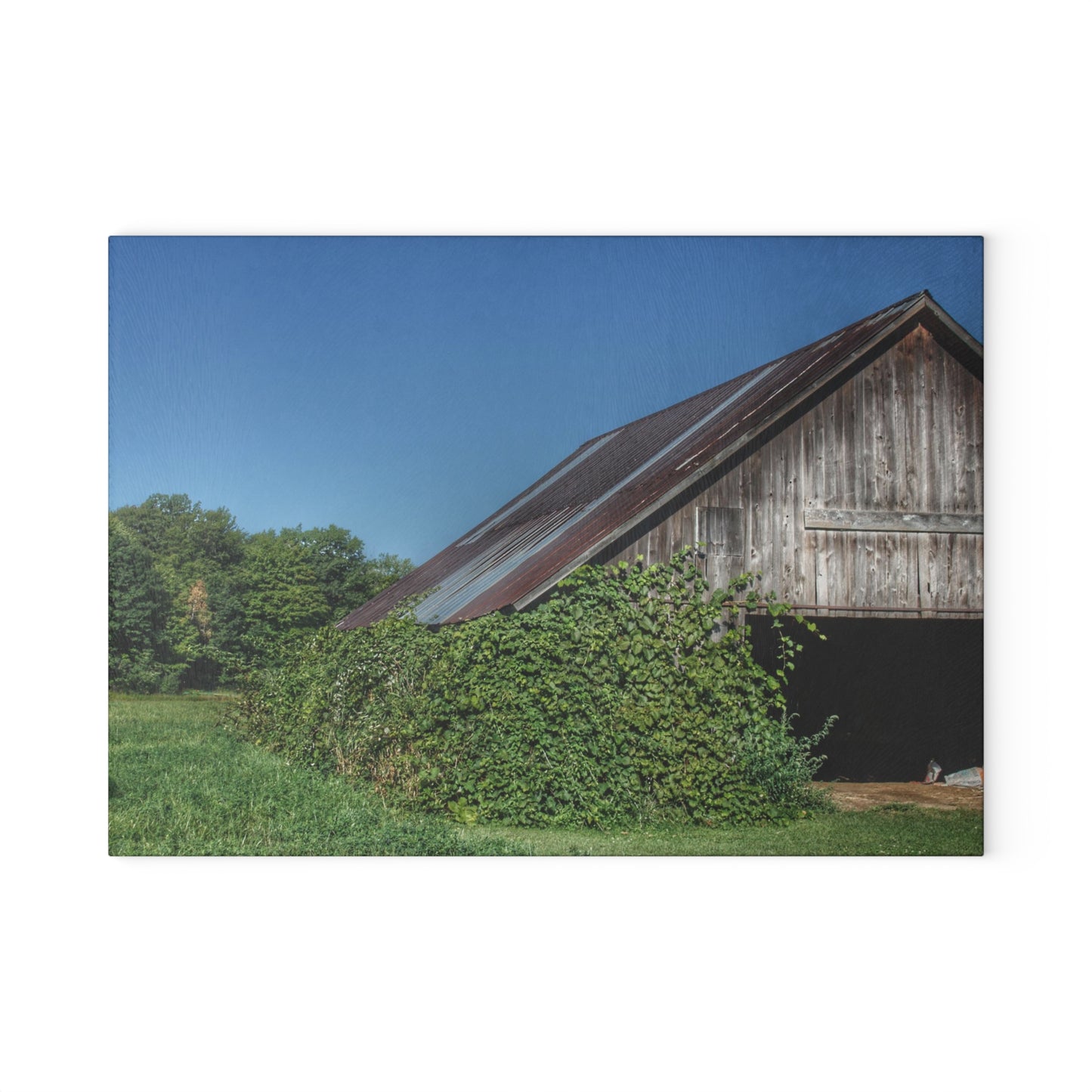 U R There Photography Grey Shack of Millington Rustic Farmhouse Tempered-Glass Cutting Board