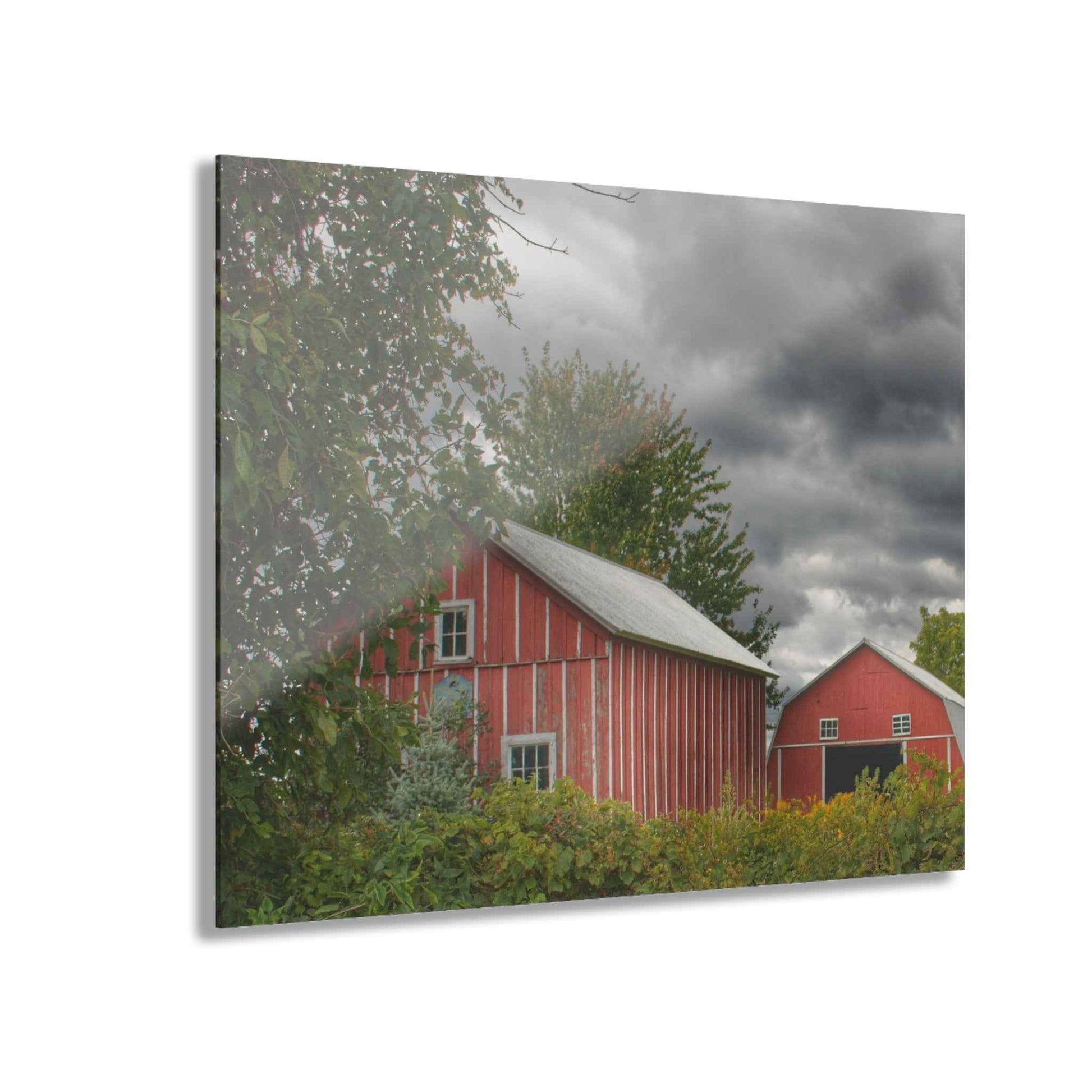 U R There Photography Pinstripe Barn and Buddy I Rustic Farmhouse Acrylic Wall Print