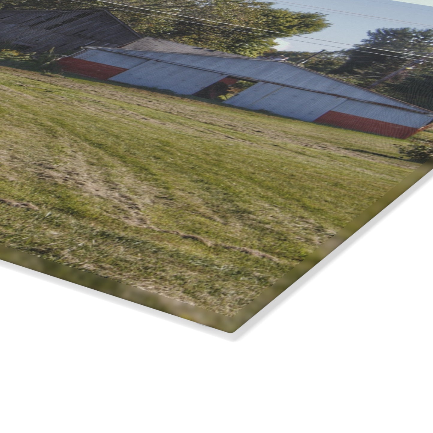 U R There Photography Havens Road Grey Rustic Farmhouse Tempered-Glass Cutting Board