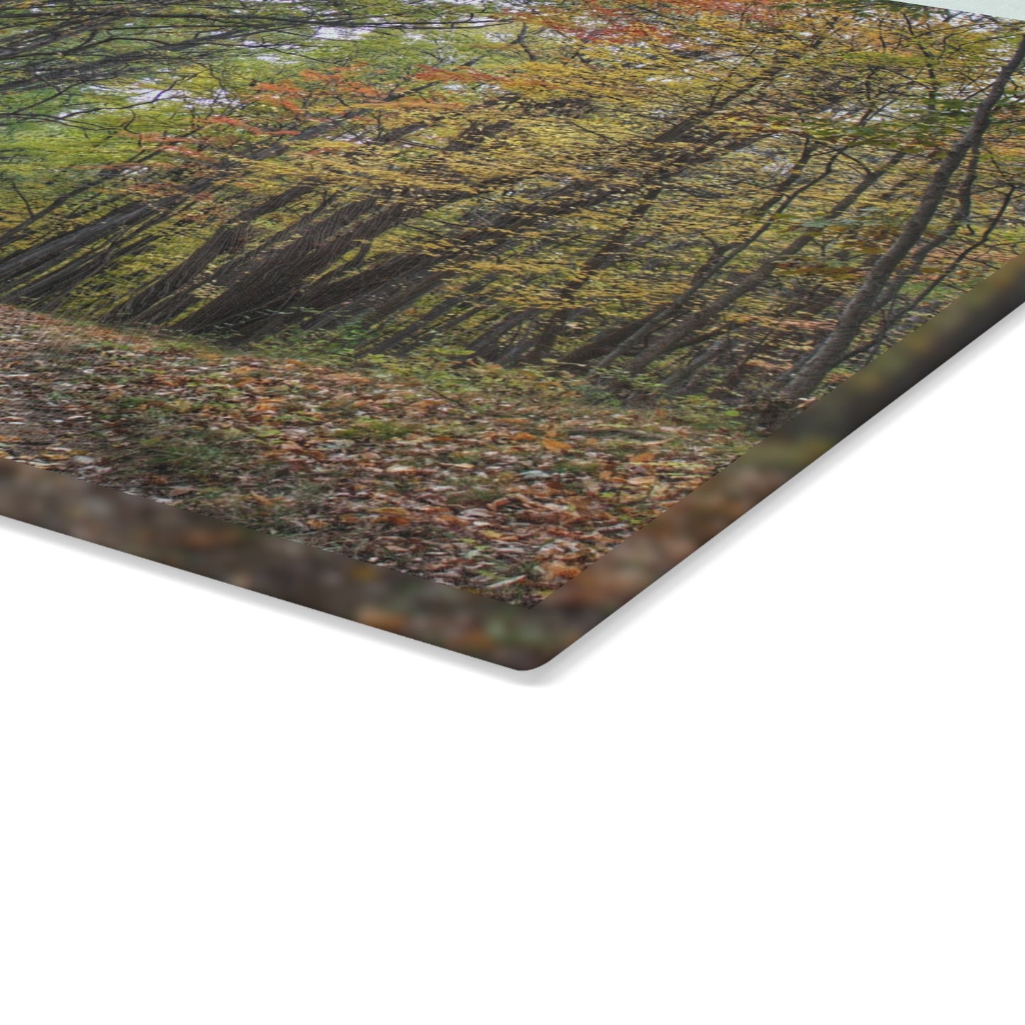 U R There Photography Country Roads in Dryden III Rustic Farmhouse Tempered-Glass Cutting Board