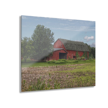 U R There Photography Murphy Lake Road Reds Rustic Farmhouse Acrylic Wall Print