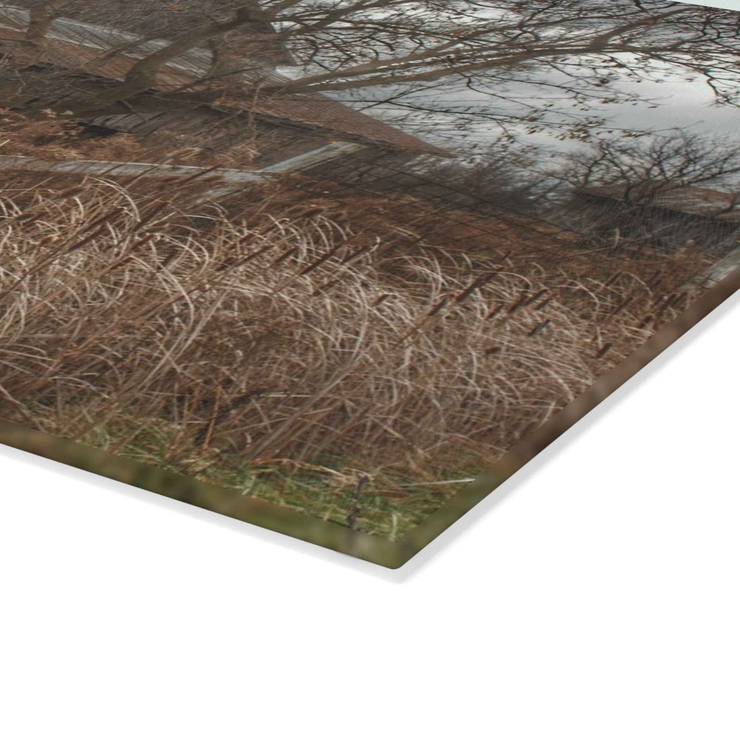 U R There Photography Grey Saltbox Rustic Farmhouse Tempered-Glass Cutting Board