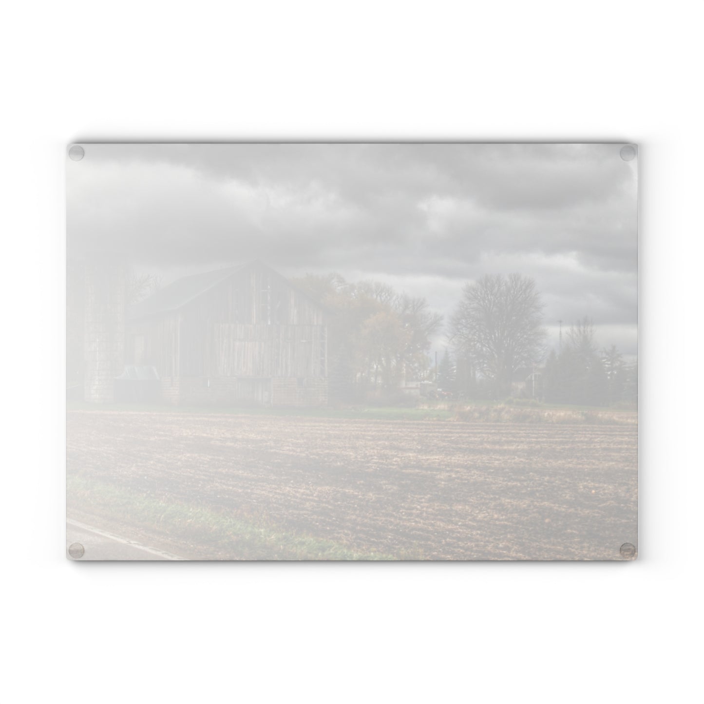 U R There Photography Gilford Grey II Rustic Farmhouse Tempered-Glass Cutting Board