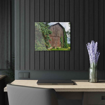 U R There Photography North Branch Ivy Grey I Rustic Farmhouse Acrylic Wall Print