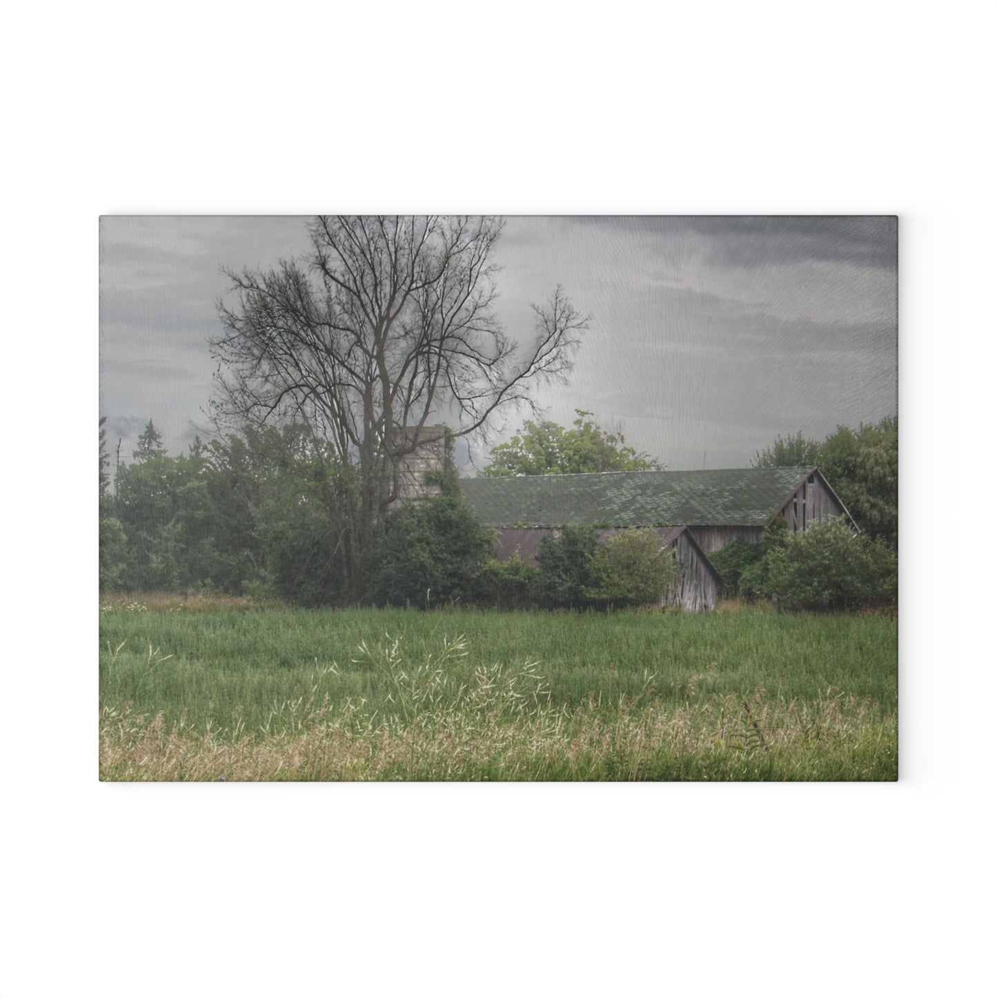 U R There Photography Wilder Road Grey III Rustic Farmhouse Tempered-Glass Cutting Board