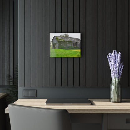 U R There Photography Caro Road Twin Grey II Rustic Farmhouse Acrylic Wall Print
