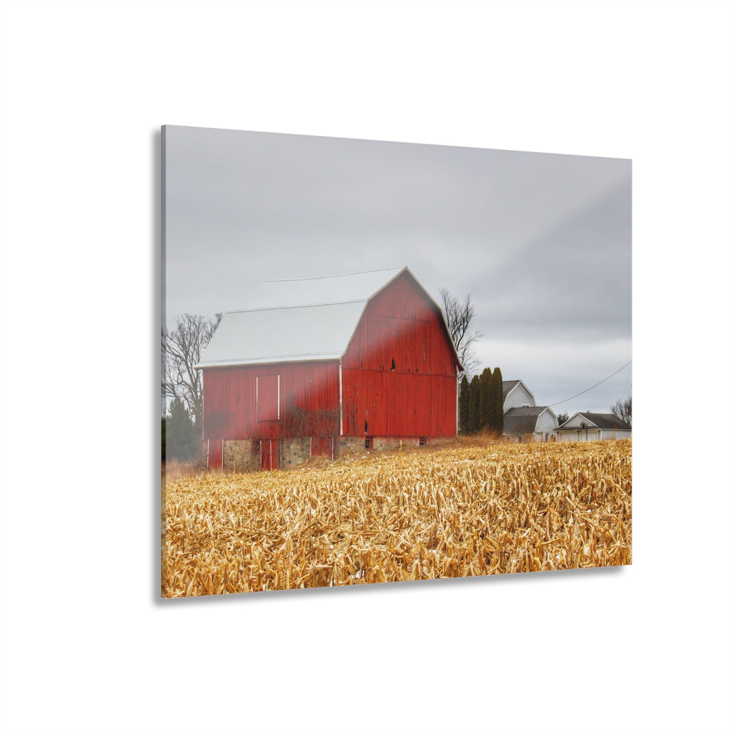 U R There Photography Jones Road Red Rustic Farmhouse Acrylic Wall Print