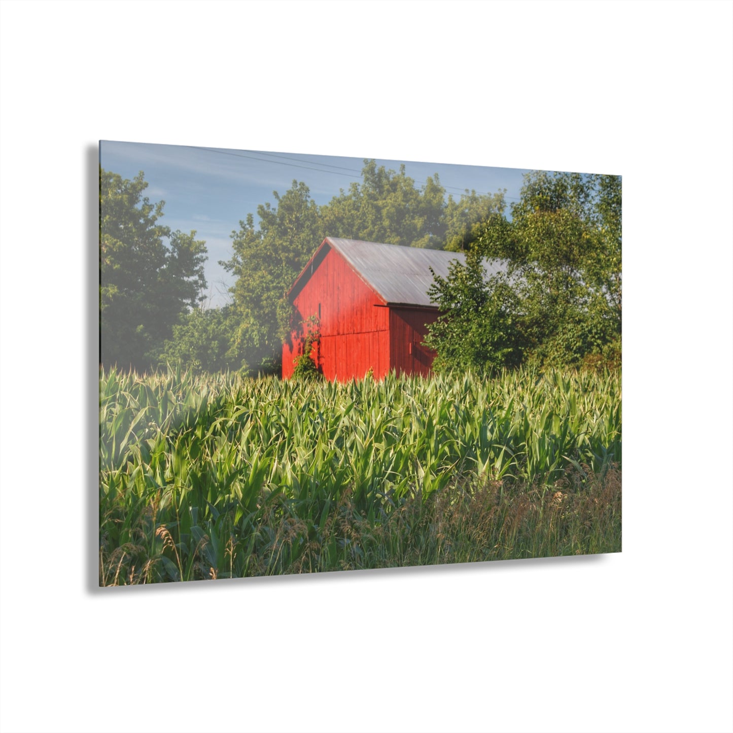 U R There Photography Willard Road Red III Rustic Farmhouse Acrylic Wall Print