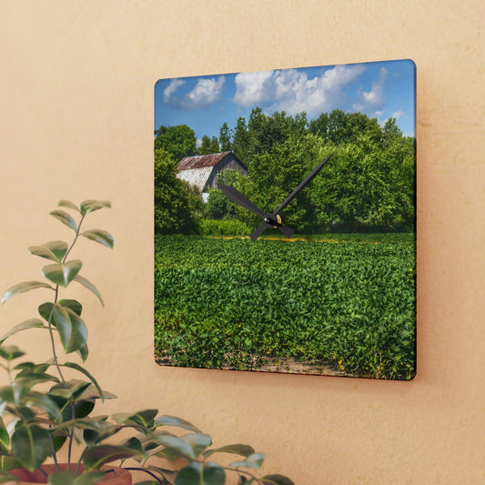 U R There Photography Canada Road Hidden Rustic Farmhouse Acrylic Analog Wall Clock