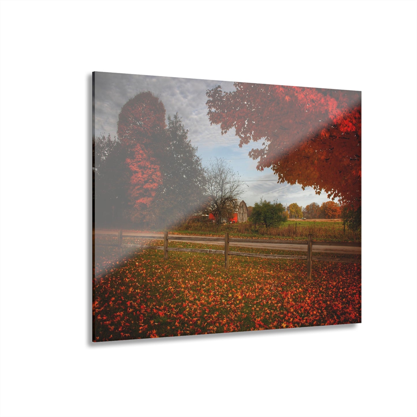 U R There Photography East Frances Road Hidden Grey II Rustic Farmhouse Acrylic Wall Print