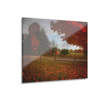 U R There Photography East Frances Road Hidden Grey II Rustic Farmhouse Acrylic Wall Print