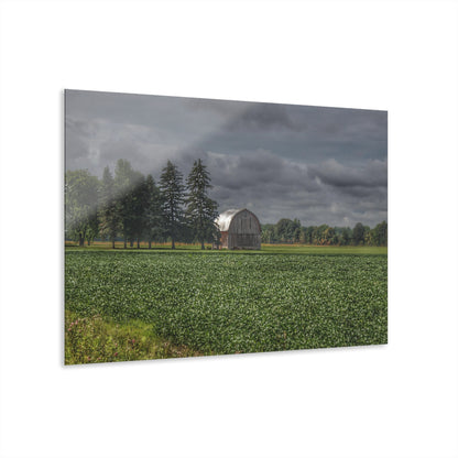 U R There Photography Belsay Grey Among the Pines Rustic Farmhouse Acrylic Wall Print