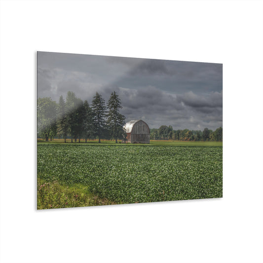 U R There Photography Belsay Grey Among the Pines Rustic Farmhouse Acrylic Wall Print