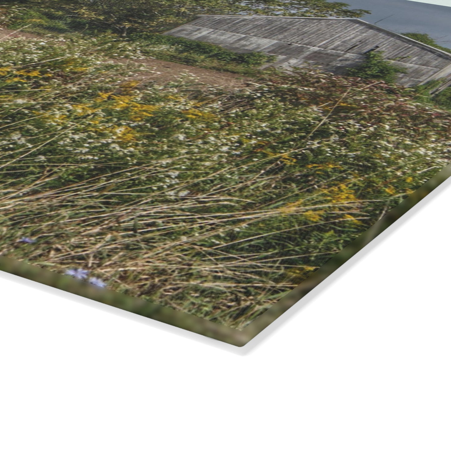 U R There Photography Almont Road Grey Rustic Farmhouse Tempered-Glass Cutting Board