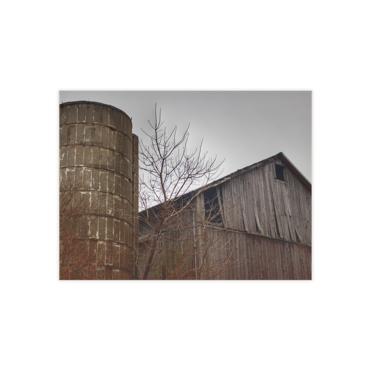 U R There Photography Brandon Hill Grey Rustic Farmhouse Decorative Ceramic Tile