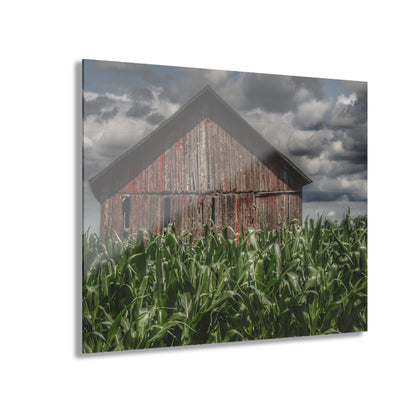 U R There Photography Above the July Corn Rustic Farmhouse Acrylic Wall Print