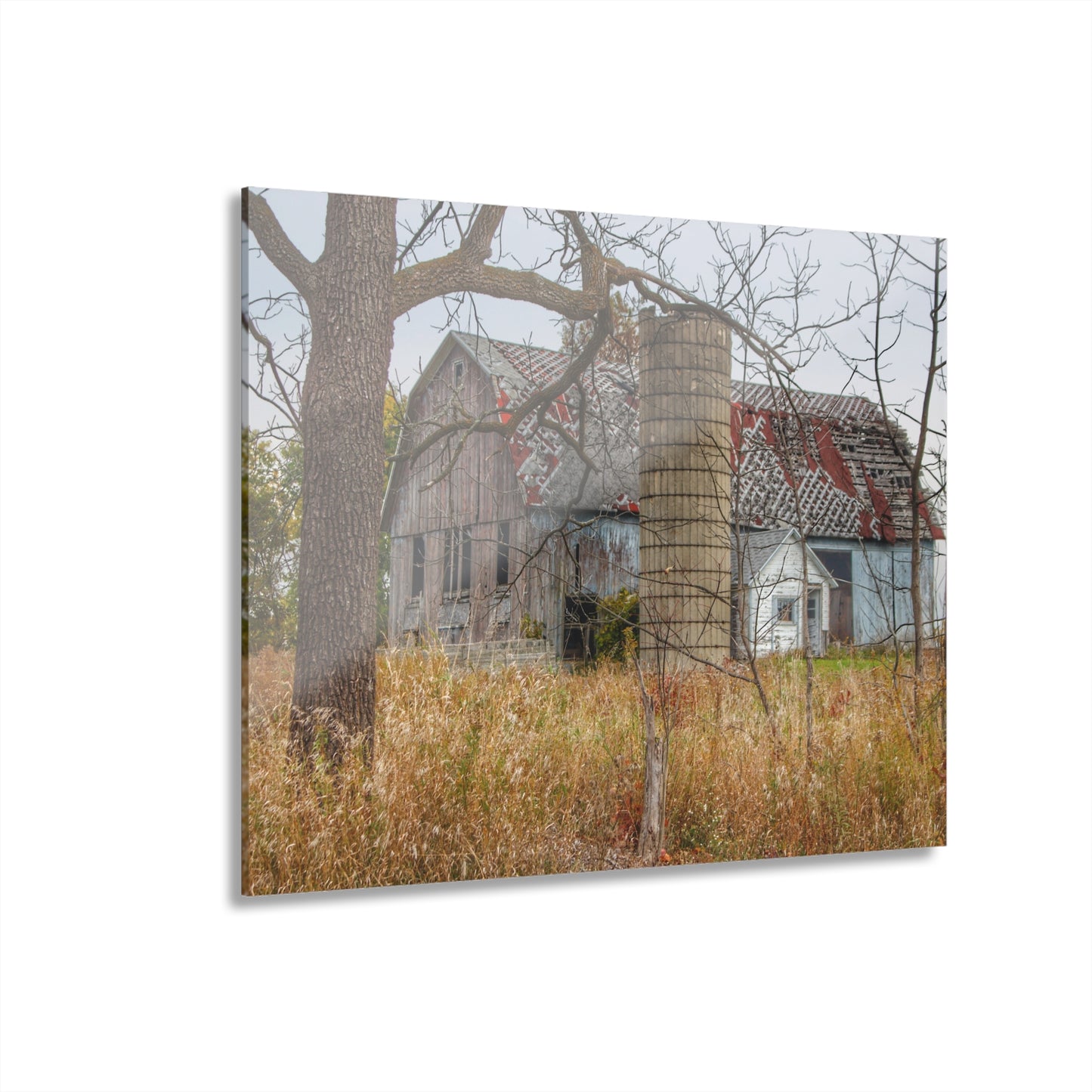 U R There Photography Hill Road Roadside Grey II Rustic Farmhouse Acrylic Wall Print