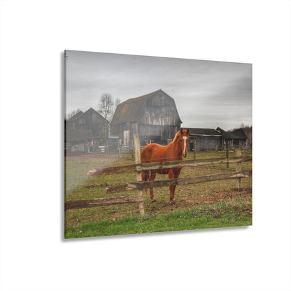 U R There Photography South Summers Road Old Grey and Caramel IV Rustic Farmhouse Acrylic Wall Print
