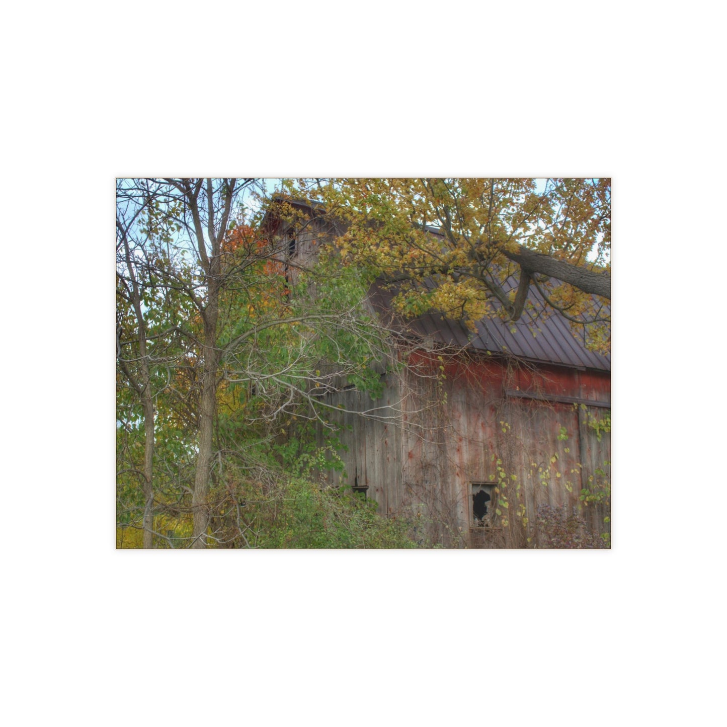 U R There Photography Annie's Barn I Rustic Farmhouse Decorative Ceramic Tile
