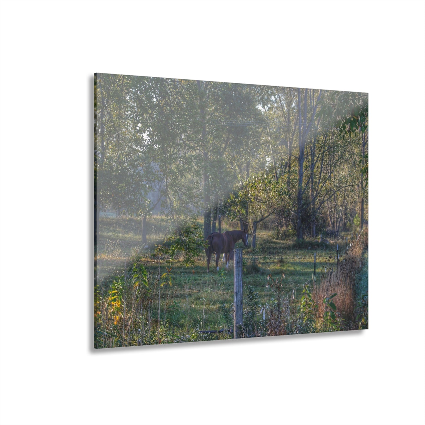 U R There Photography Chestnut Horse Among the Trees Rustic Farmhouse Acrylic Wall Print
