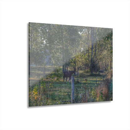 U R There Photography Chestnut Horse Among the Trees Rustic Farmhouse Acrylic Wall Print