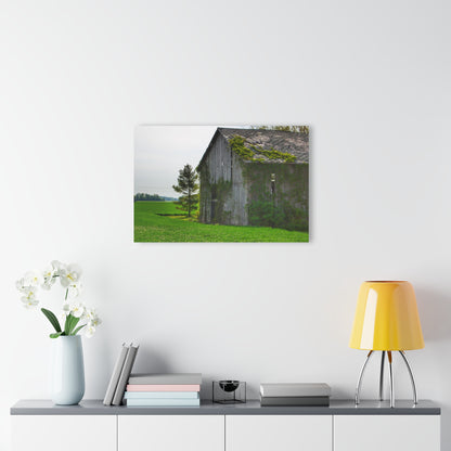 U R There Photography Caro Road Twin Grey I Rustic Farmhouse Acrylic Wall Print