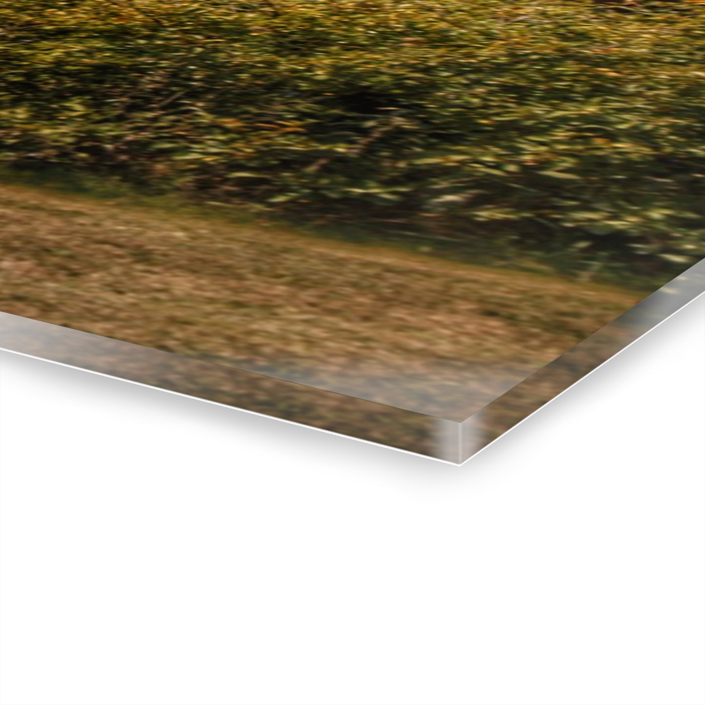 U R There Photography Vassar Roadside Red Rustic Farmhouse Acrylic Wall Print