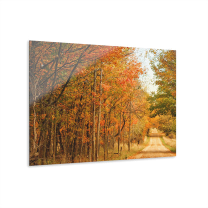 Barn Boutique Modern Farmhouse Acrylic Wall Print| Murphy Lake Road in the Fall I