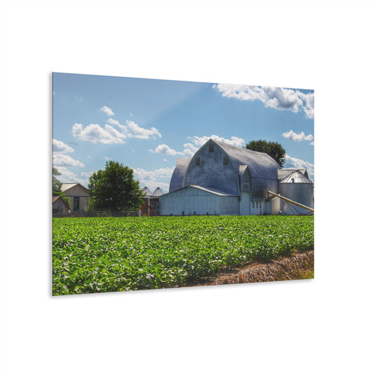 U R There Photography Canada Road White Rustic Farmhouse Acrylic Wall Print