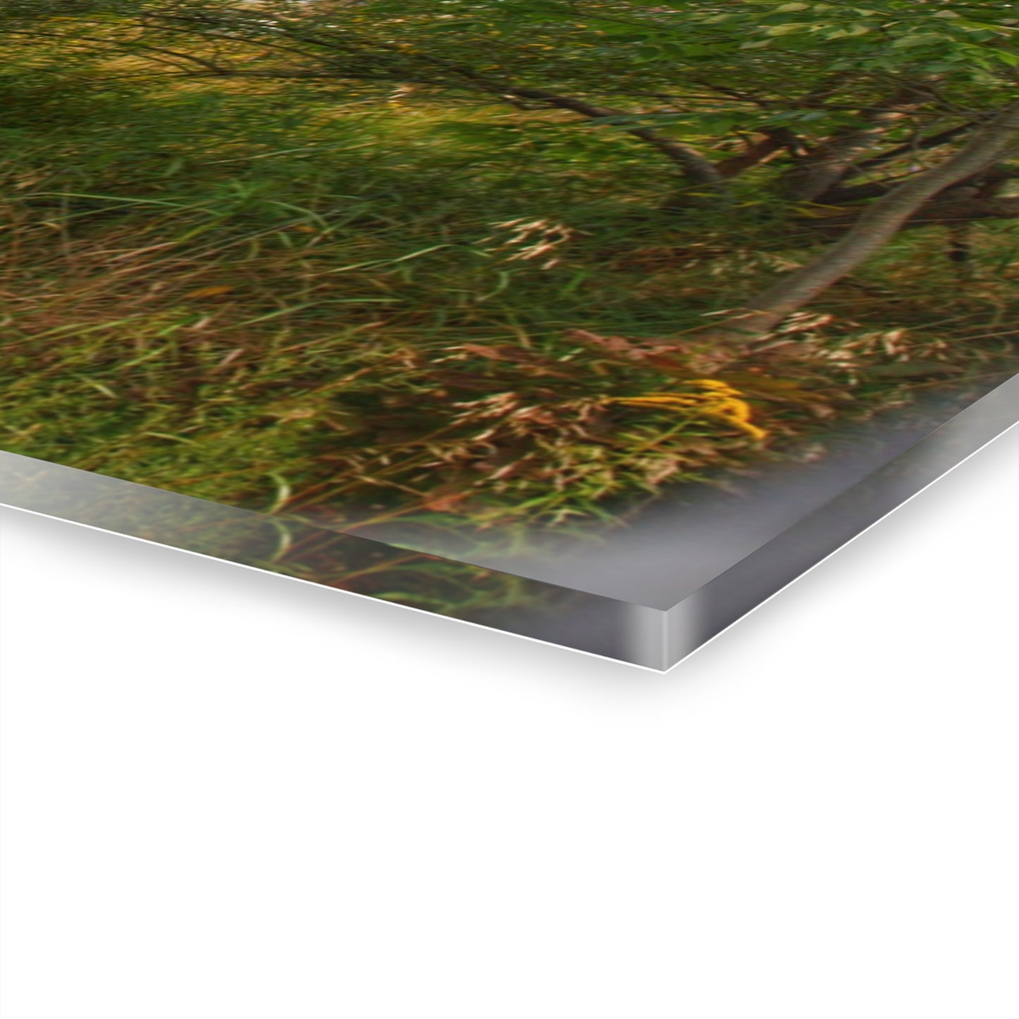 U R There Photography Hill Road Roadside Grey III Rustic Farmhouse Acrylic Wall Print