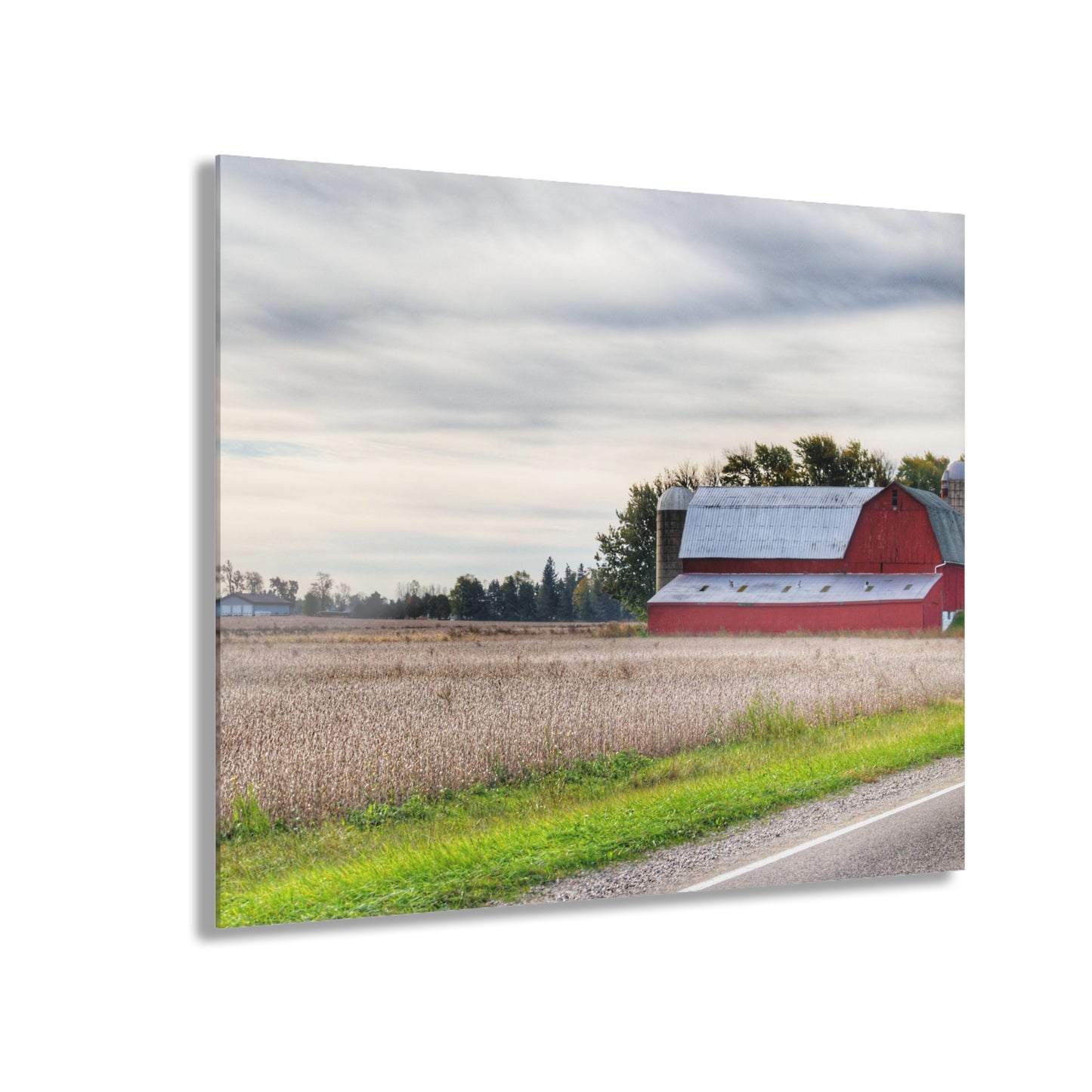 U R There Photography Brown City Red II Rustic Farmhouse Acrylic Wall Print