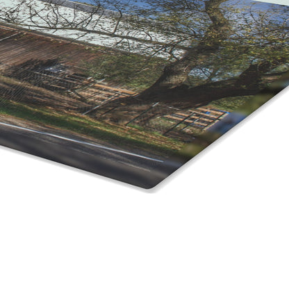 U R There Photography Birch Run Road Grey Rustic Farmhouse Tempered-Glass Cutting Board