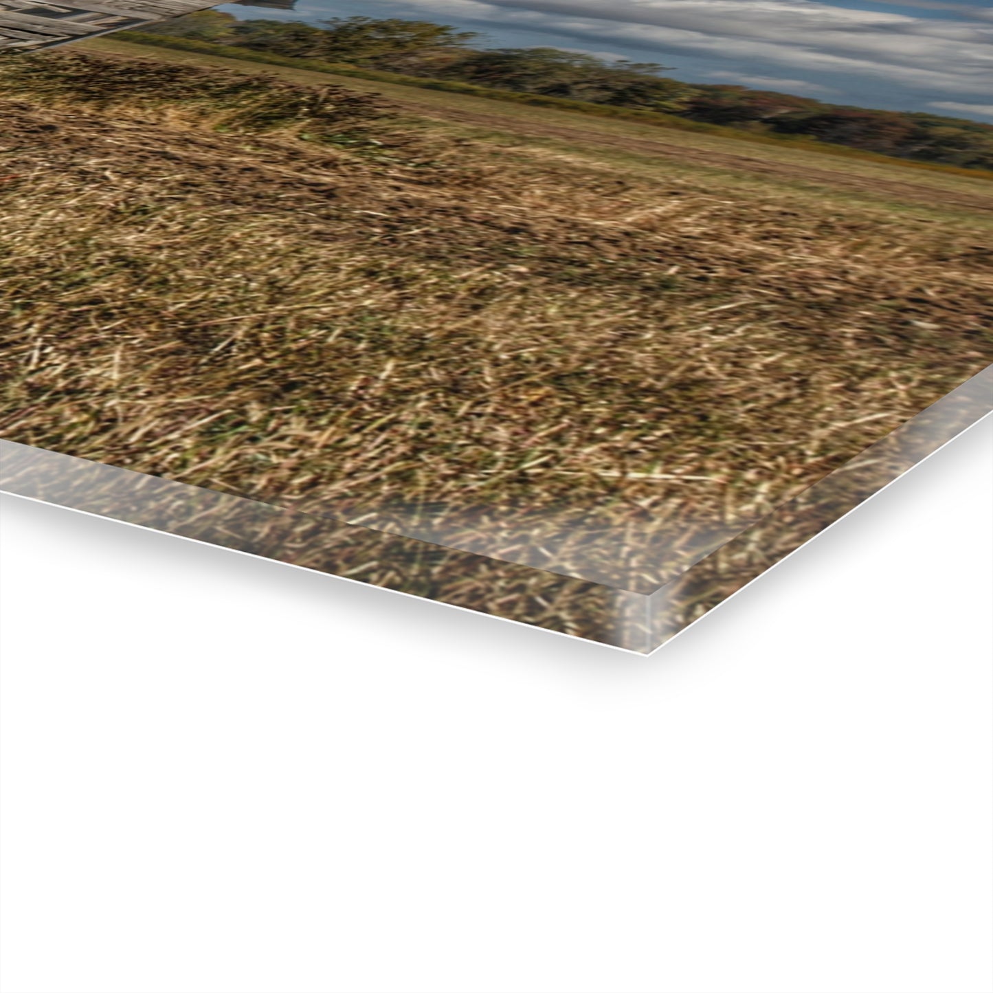 U R There Photography Freiberger Road Little Grey Shack Rustic Farmhouse Acrylic Wall Print