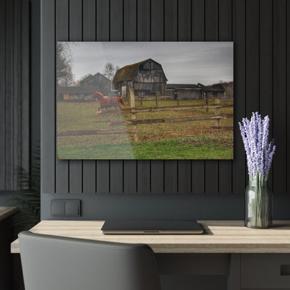 U R There Photography South Summers Road Old Grey and Caramel III Rustic Farmhouse Acrylic Wall Print