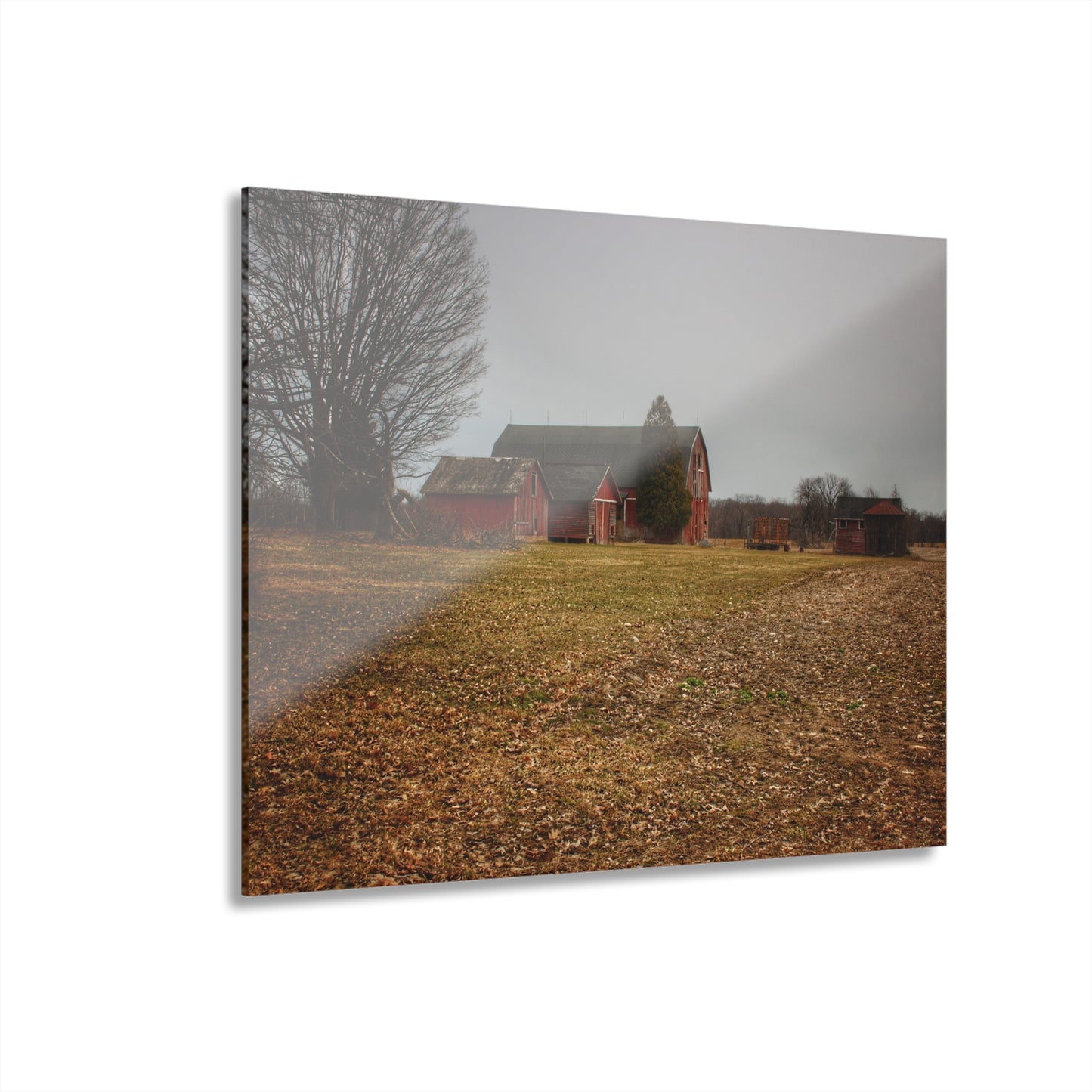 U R There Photography Wilder Road Reds in Spring Rustic Farmhouse Acrylic Wall Print