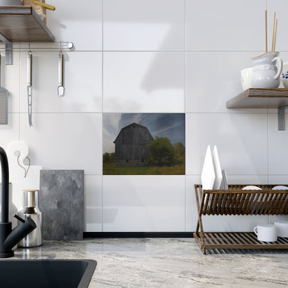 U R There Photography Cat Lake Grey I Rustic Farmhouse Decorative Ceramic Tile