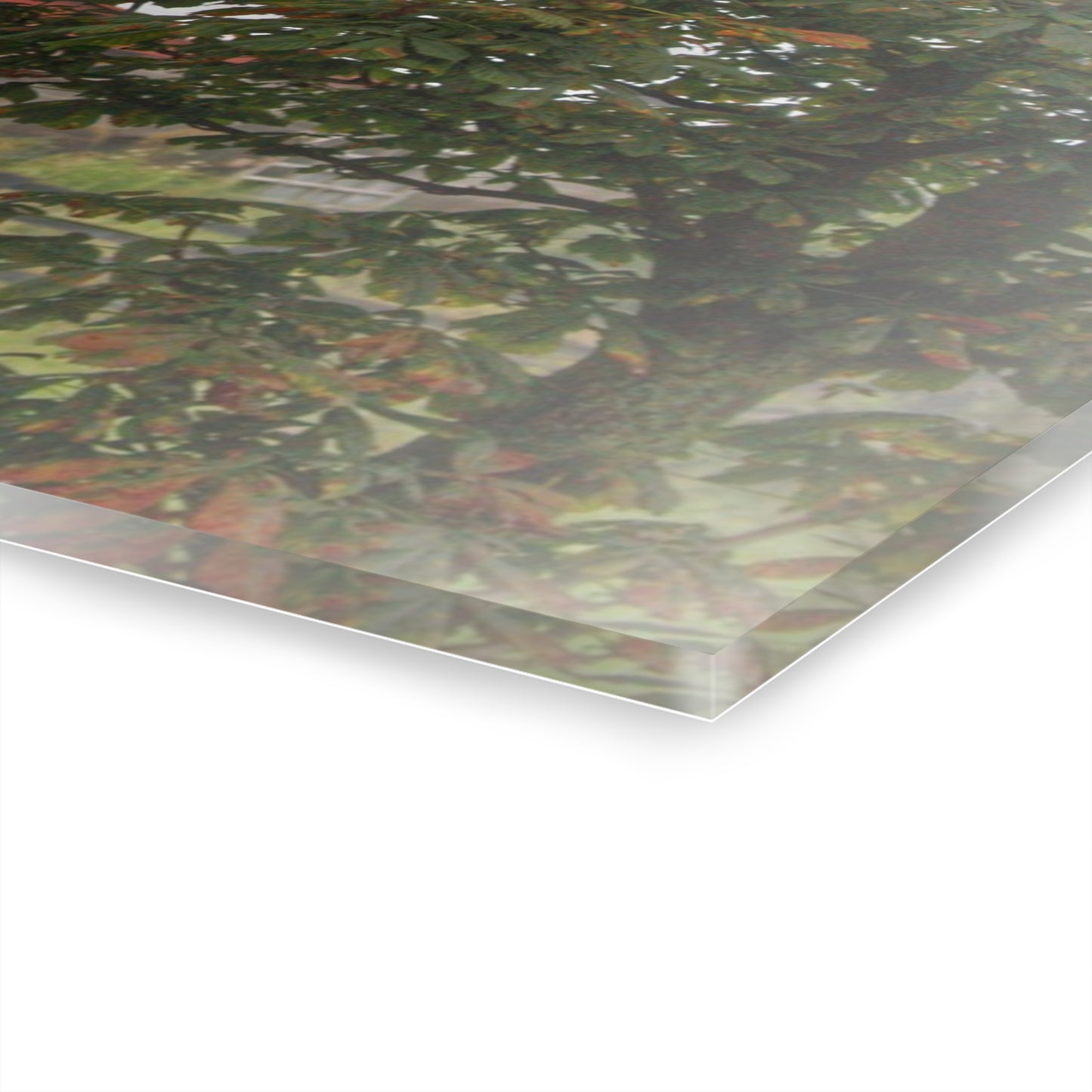 U R There Photography Five Lakes Road Red I Rustic Farmhouse Acrylic Wall Print