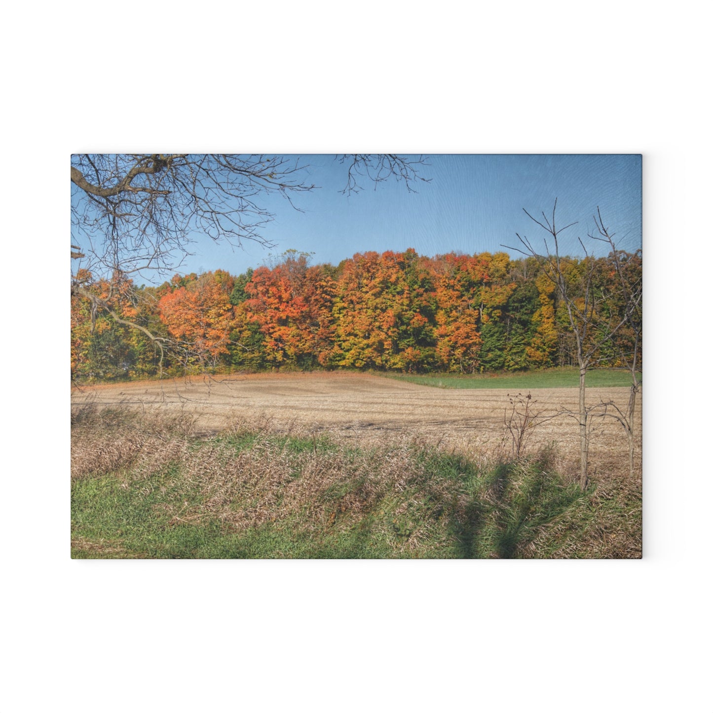 U R There Photography Fall on Piersonville Road Rustic Farmhouse Tempered-Glass Cutting Board